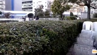 国产精品一区二区三区四区五区🈲欧美亚洲亚洲日韩在线影院🈲泡泡影视无码